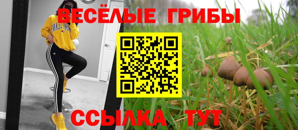 Гагарин  Псилоцибиновые грибы мицелий  Вход с VPN  Галлюциногенные грибы Psilocybine cubensis 